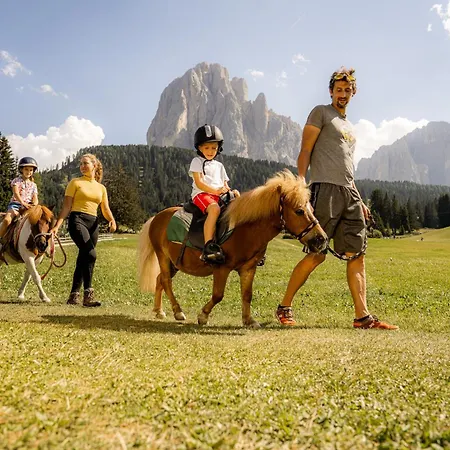 Hotel Monte Pana Dolomites 4*